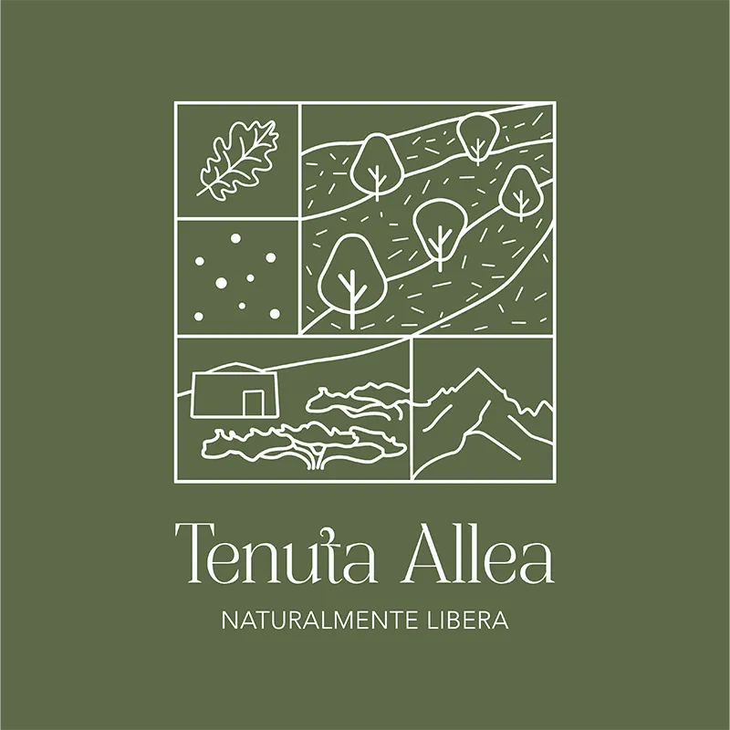 immagine del logo della tenuta allea