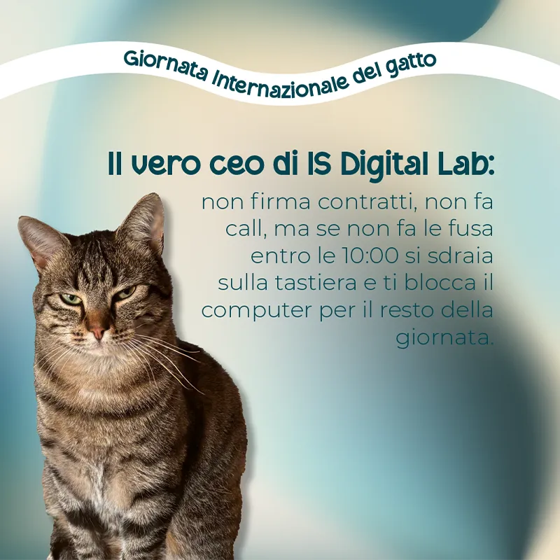 immagine di un post di is digital lab